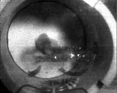 wpeA4.jpg (5312 bytes)