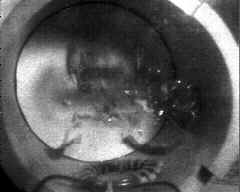 wpeA5.jpg (5418 bytes)