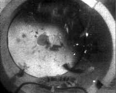 wpeA6.jpg (5471 bytes)