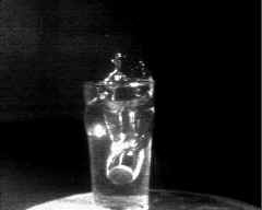 wpeAD.jpg (4043 bytes)