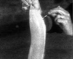 wpeB3.jpg (4849 bytes)