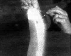 wpeB5.jpg (4696 bytes)