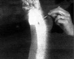 wpeB6.jpg (4638 bytes)