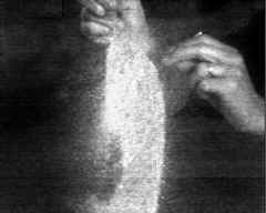 wpeB7.jpg (5293 bytes)