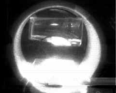 wpe9C.jpg (4705 bytes)