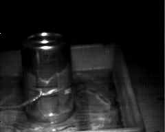 wpeD9.jpg (3775 bytes)