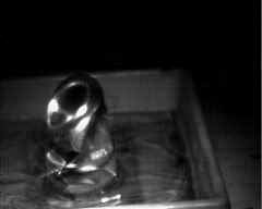 wpeDC.jpg (3843 bytes)