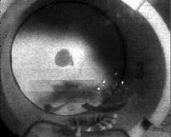 wpeA3.jpg (5060 bytes)