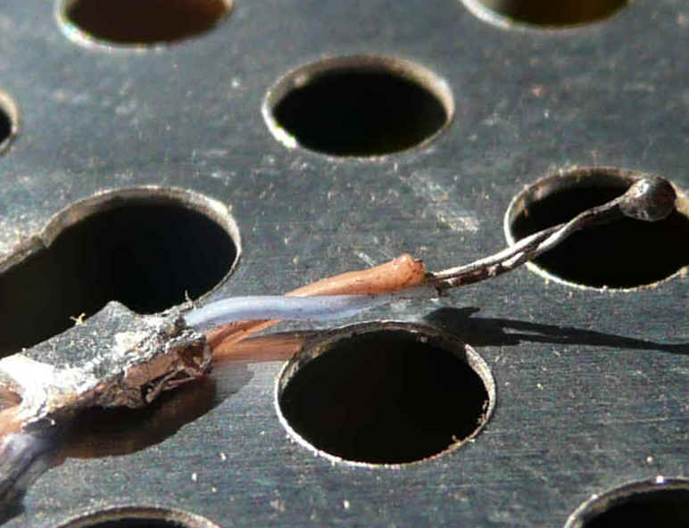 wpeB.jpg (115181 bytes)