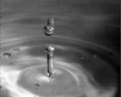 wpe95.jpg (4020 bytes)