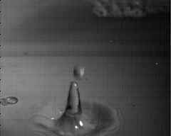 wpeAB.jpg (3391 bytes)