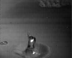 wpeAE.jpg (3354 bytes)