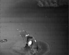 wpeAF.jpg (3544 bytes)