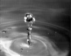 wpeA2.jpg (4104 bytes)