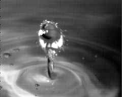 wpeA3.jpg (4232 bytes)