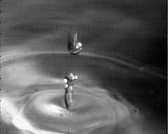 wpeA4.jpg (3912 bytes)