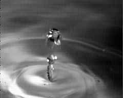 wpeA5.jpg (3999 bytes)