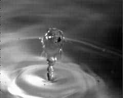 wpeA6.jpg (4093 bytes)