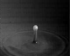 wpeAA.jpg (3029 bytes)